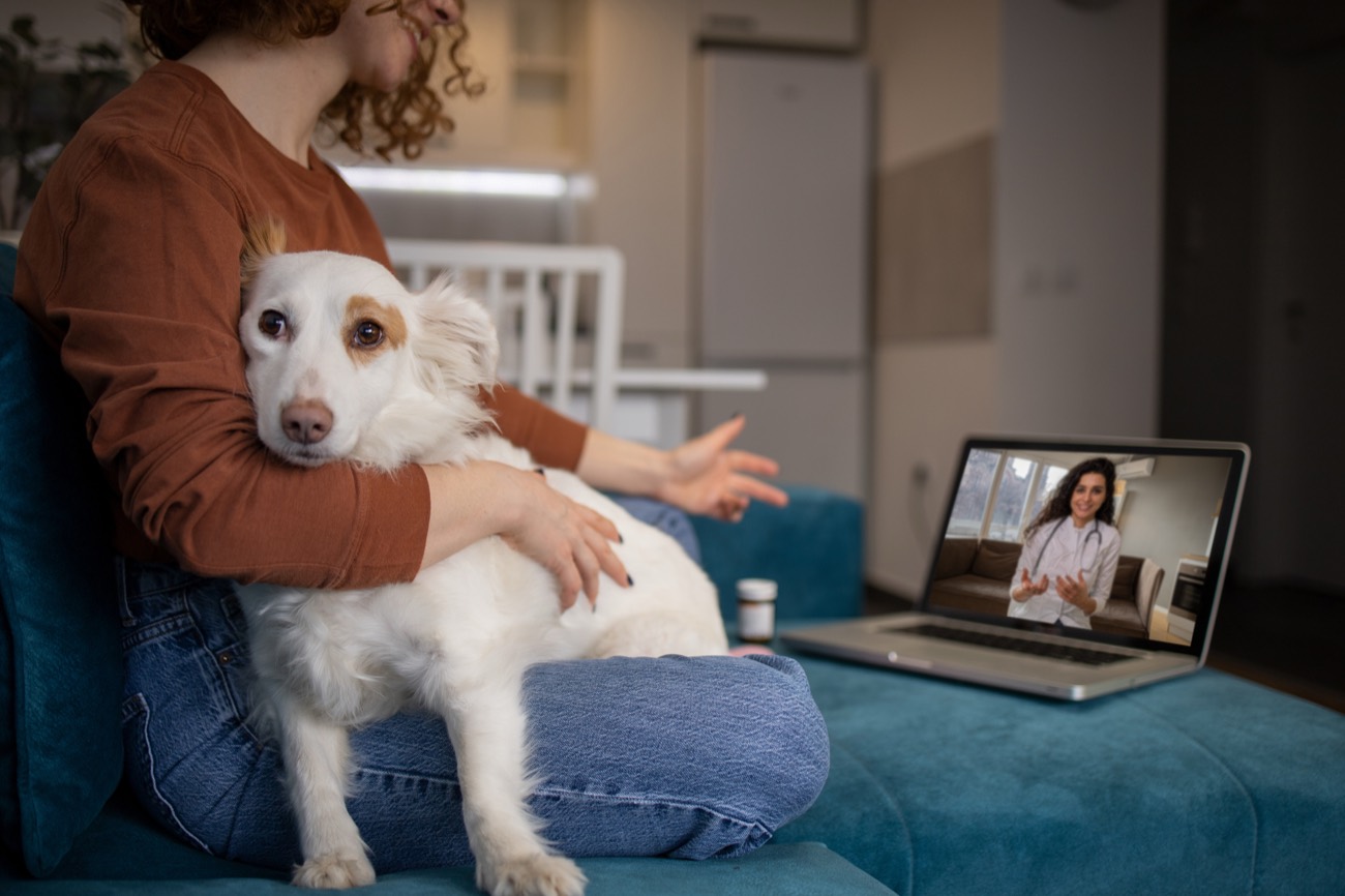 Una notebook con la veterinaria de Wagg en pantalla